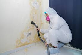 Anna, IL Mold Removal Company